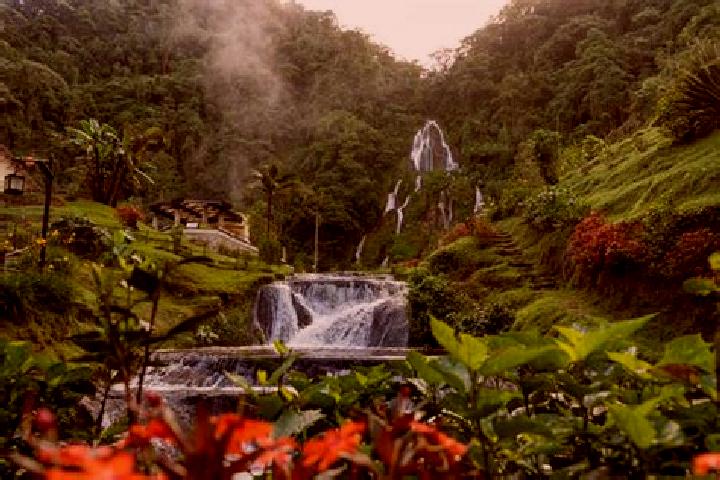 Nova, 29 — Escort in Santa Rosa de Cabal, Colombia