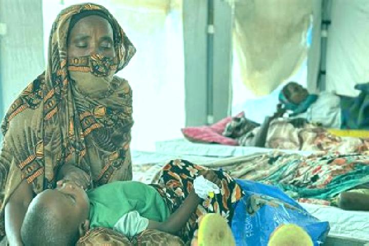 Nova, 29 — Escort in Sudan, United States