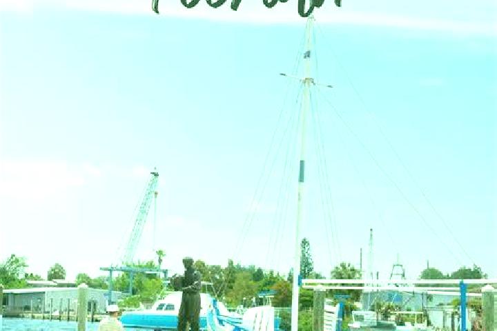 Nova, 29 — Escort in Tarpon Springs, United States