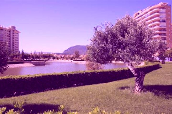 Nova, 29 — Escort in Tavernes de la Valldigna, Spain