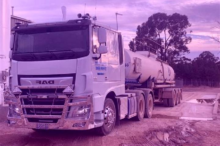 Nova, 29 — Escort in Unanderra, Australia