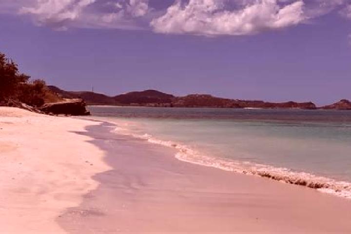 Nova, 29 — Escort in Urlings, Antigua and Barbuda