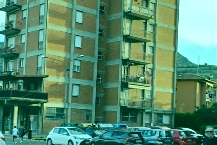 Nova, 29 — Escort in Vergato, Italy