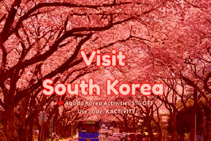 Nova, 29 — Escort in Yuchi, South Korea