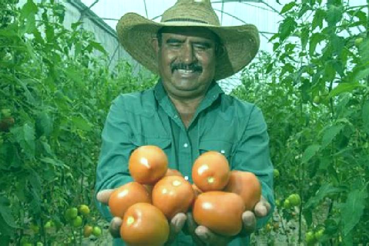 Nova, 30 — Escort in Agronomos Mexicanos, Mexico