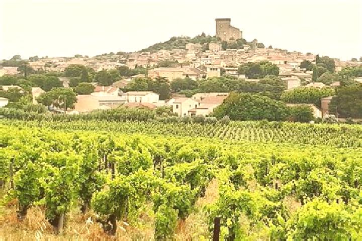 Nova, 30 — Escort in Chateauneuf-du-Rhone, France