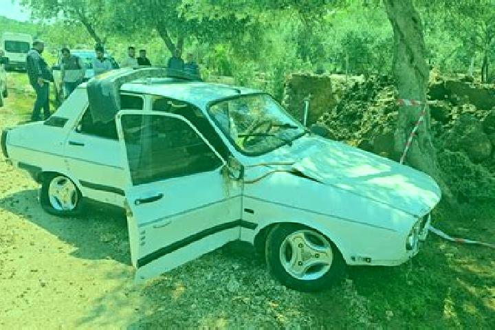 Nova, 30 — Escort in Eskikabasakal, Turkey