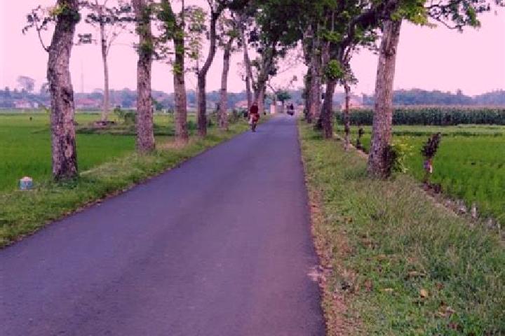 Nova, 30 — Escort in Lahewa, Indonesia