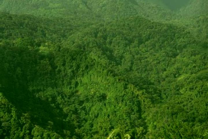 Nova, 30 — Escort in L Ajoupa-Bouillon, Martinique
