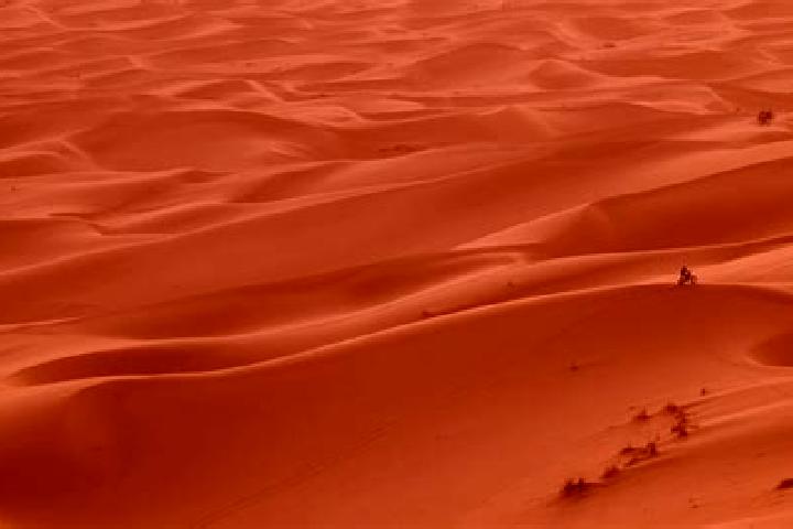 Nova, 30 — Escort in Lemsid, Western Sahara