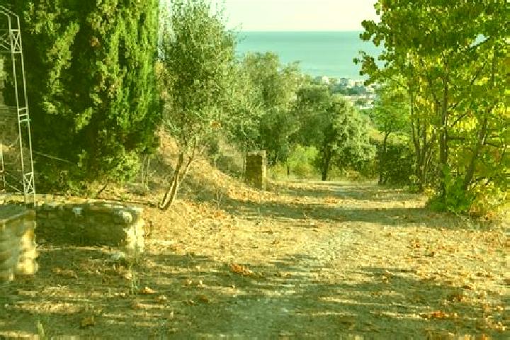 Nova, 30 — Escort in Montepagano, Italy