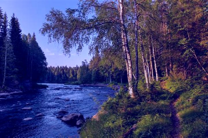Nova, 30 — Escort in Robertsfors, Sweden