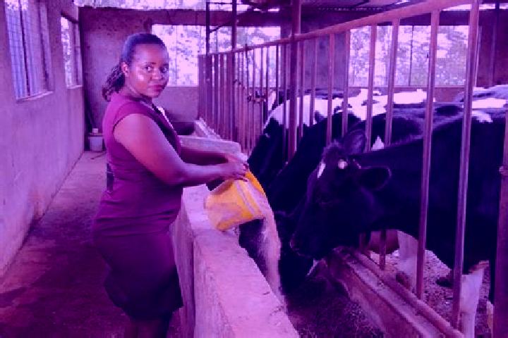 Nova, 30 — Escort in South Kinangop, Kenya