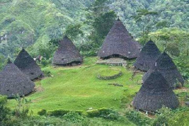 Nova, 31 — Escort in Atambua, Indonesia