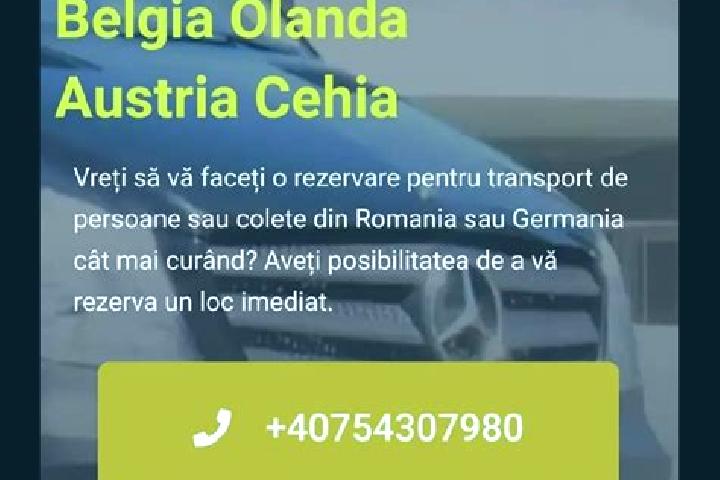 Nova, 31 — Escort in Ciocesti, Romania