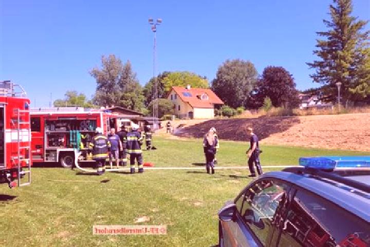 Nova, 31 — Escort in Hautzendorf, Austria