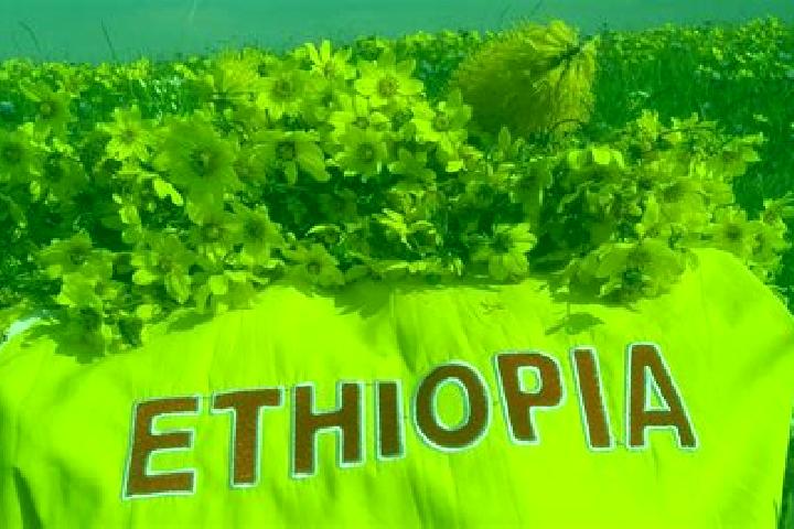 Nova, 31 — Escort in Himora, Eritrea