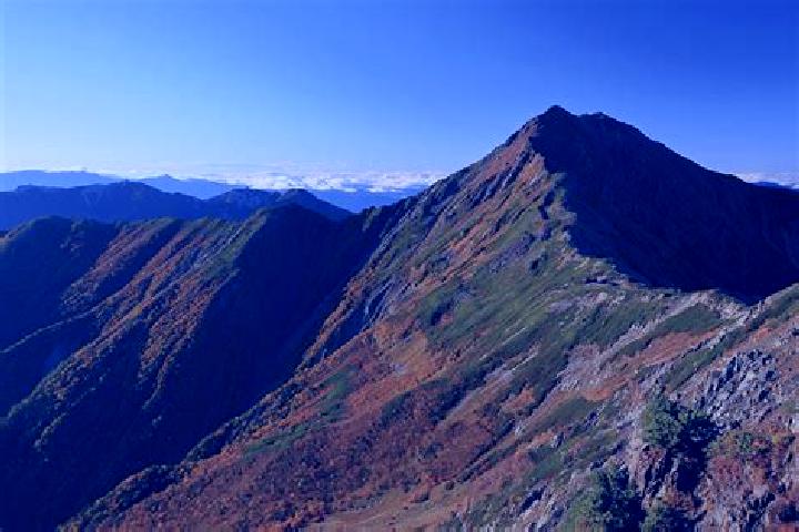 Nova, 31 — Escort in Minami-Alps, Japan