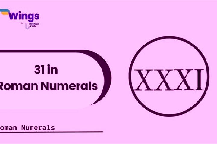 Nova, 31 — Escort in Nanmaizhu, China