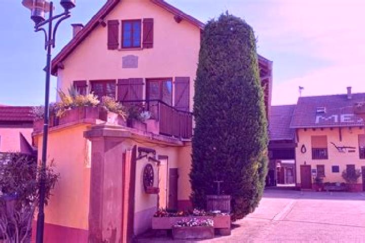 Nova, 31 — Escort in Oberschaeffolsheim, France