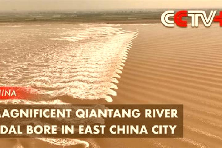 Nova, 31 — Escort in Qiantang, China