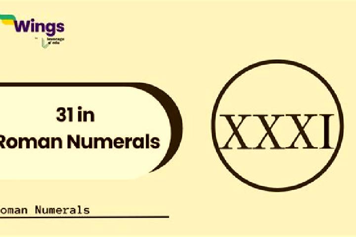 Nova, 31 — Escort in Xiashuitou, China