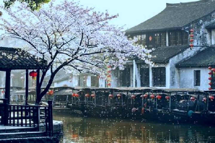 Nova, 31 — Escort in Xitang, China