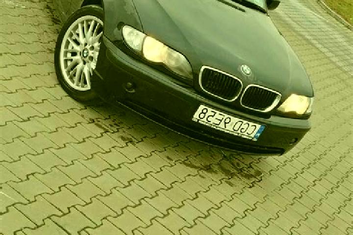Nova, 31 — Escort in Zbojno, Poland