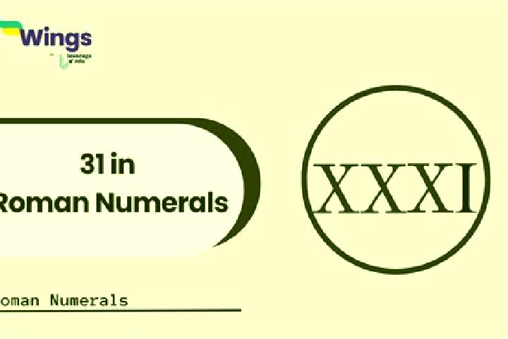 Nova, 31 — Escort in Zhenhaicun, China