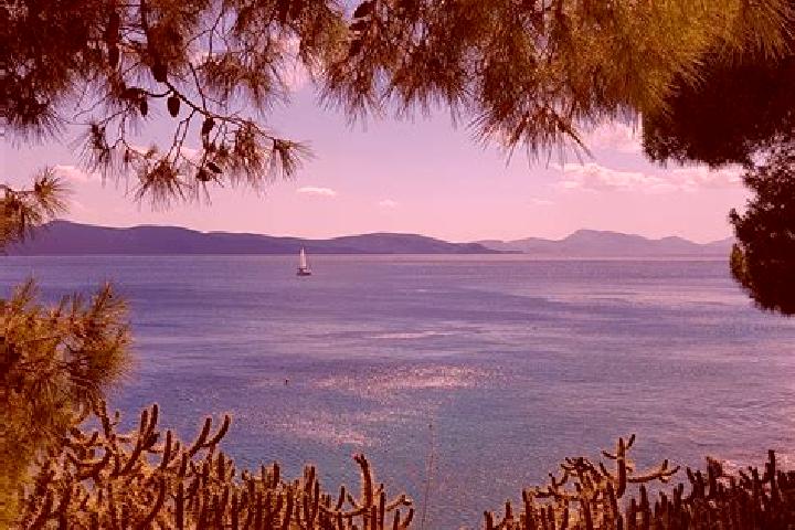Nova, 31 — Escort in Zografos, Greece