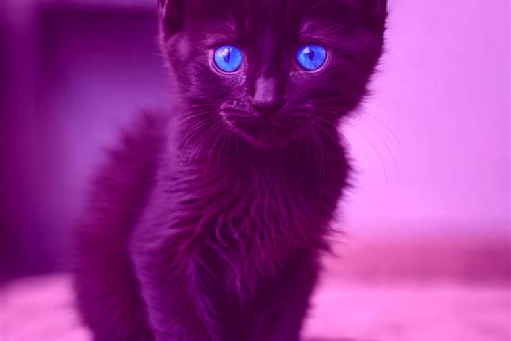 Nova, 32, a black blue-eyed mediterranean companion based in Ferriere-la-Grande. Offering Couples, Massage, Domination. Available for incall and outcall, day...