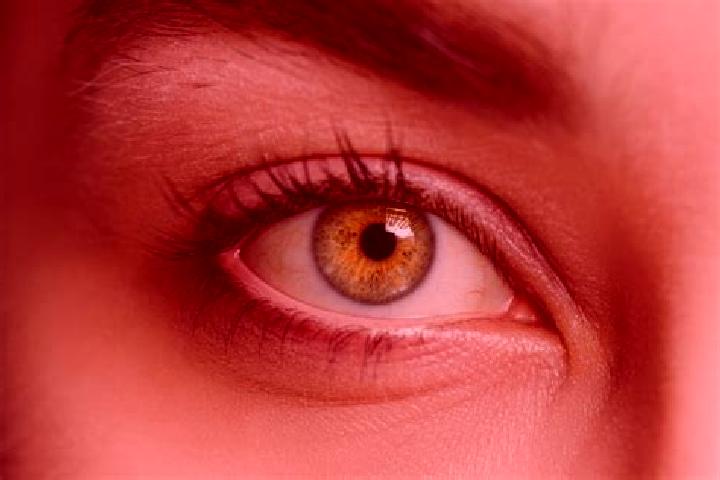 Nova, 32, a black hazel-eyed mixed companion based in Ramingstein. Offering BDSM, Deep French Kissing, Prostate Massage, Erotic Massage. Available for incall...