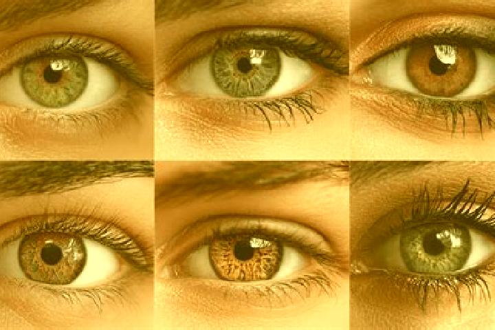 Nova, 32, a red hazel-eyed middle eastern companion based in Montesquieu-Volvestre. Offering Domination, 69, OWO, BDSM, Prostate Massage. Available for incal...