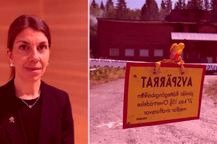Nova, 32 — Escort in Loevanger, Sweden