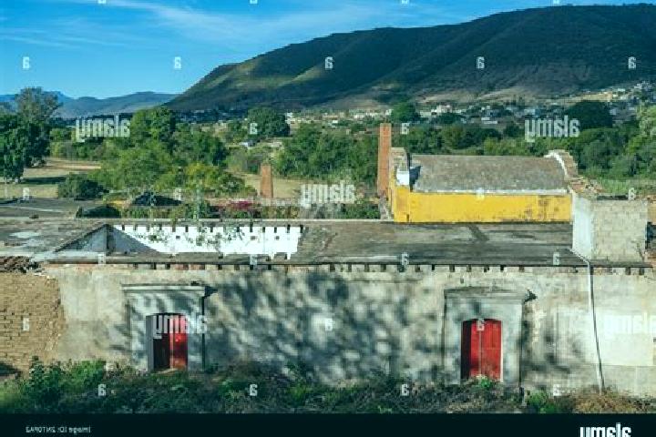 Nova, 32 — Escort in San Antonio Arrazola, Mexico