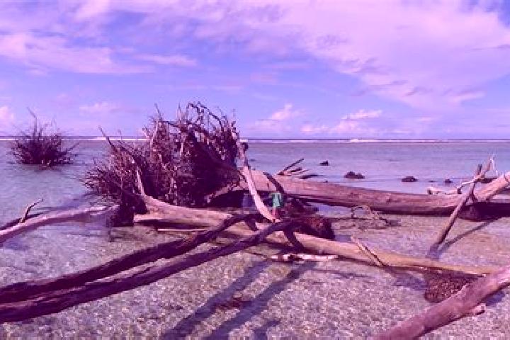 Nova, 32 — Escort in Saratamata, Vanuatu
