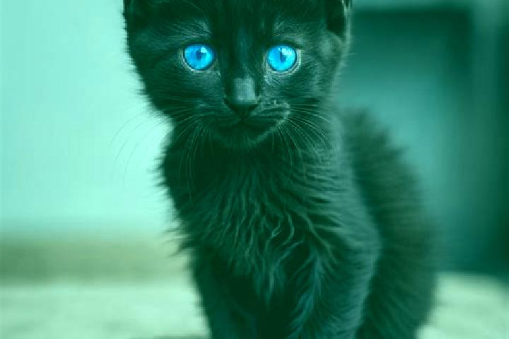 Nova, 33, a black blue-eyed caribbean companion based in San Severo. Offering CIM, OWO, BDSM, GFE. Available for incall and outcall, overnight bookings avail...