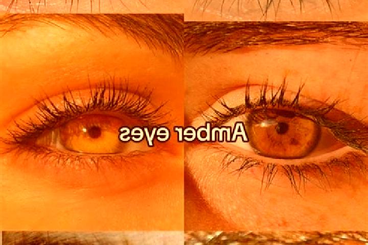 Nova, 33, a chestnut amber-eyed indian companion based in Wilmersdorf. Offering A-Level, CIM, Prostate Massage, OWO. Available for incall and outcall, overni...
