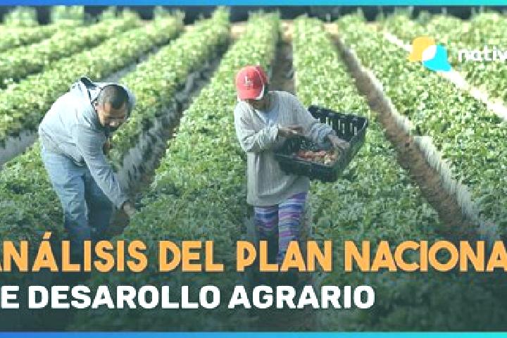 Nova, 33 — Escort in Ejido Plan Nacional Agrario, Mexico