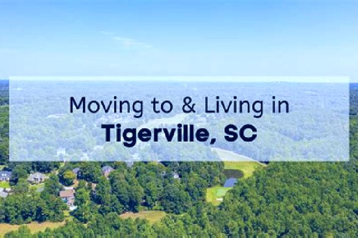 Nova, 33 — Escort in Tigerville, United States