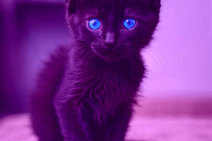 Nova, 34, a black blue-eyed mediterranean companion based in Sinende. Offering Party Girl, Tantra, Girlfriend Experience, Domination. Available for incall an...