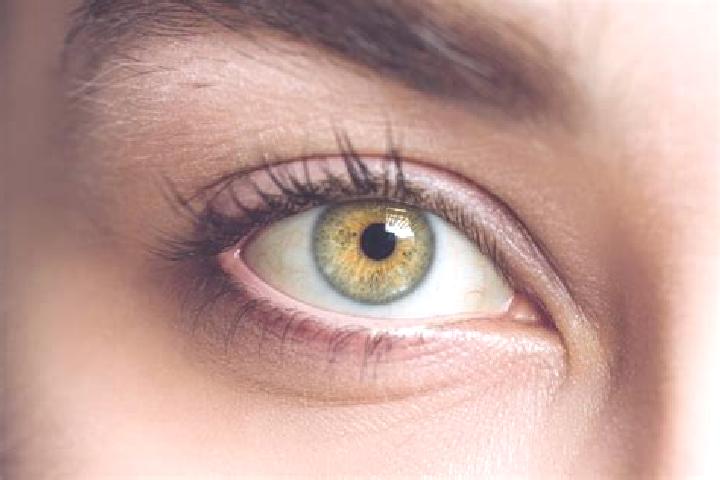 Nova, 34, a chestnut hazel-eyed mixed companion based in Fuentesecas. Offering Roleplay, Erotic Massage, Couples. Available for incall and outcall, overnight...