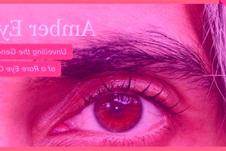 Nova, 34, a red amber-eyed european companion based in Kachujan Gaon. Offering Domination, 69, Dinner Date, Fetish. Available for incall and outcall, day and...