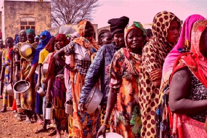 Nova, 34 — Escort in Gambela, Ethiopia