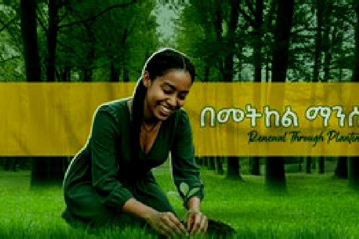 Nova, 34 — Escort in Hirna, Ethiopia