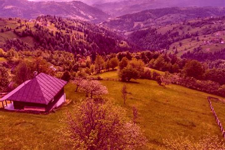 Nova, 34 — Escort in Vartoapele de Sus, Romania
