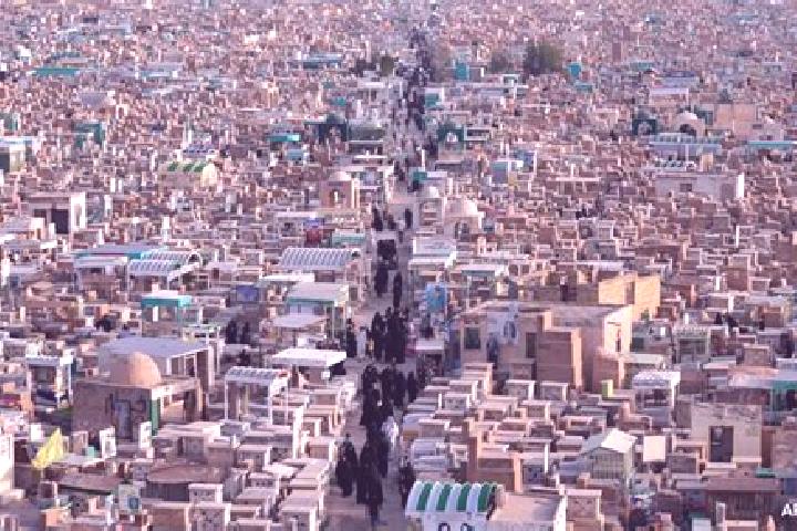 Nova, 34 — Escort in Wadi as Salqa, Palestine