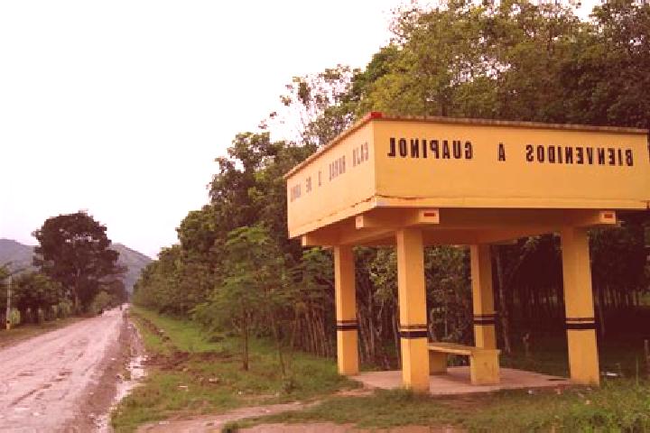 Nova, 35 — Escort in El Guapinol, Honduras