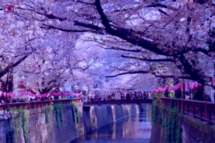 Nova, 35 — Escort in Itogawa, Japan