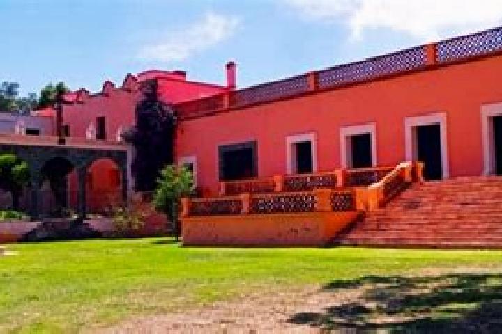 Nova, 35 — Escort in San Antonio de los Tepetates, Mexico